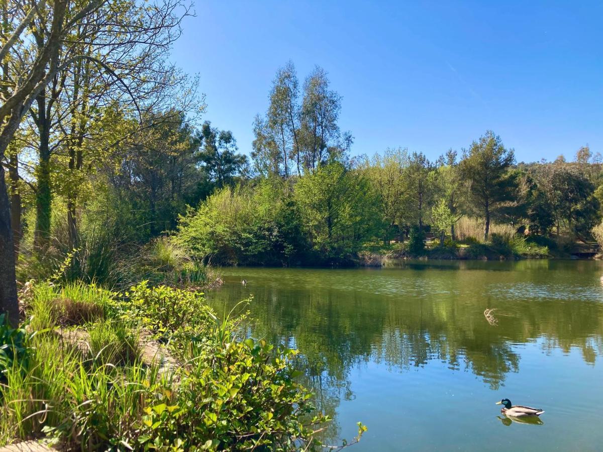 Appartamento Les Restanques Bruyeres 2103 Proche Piscine Grimaud Esterno foto